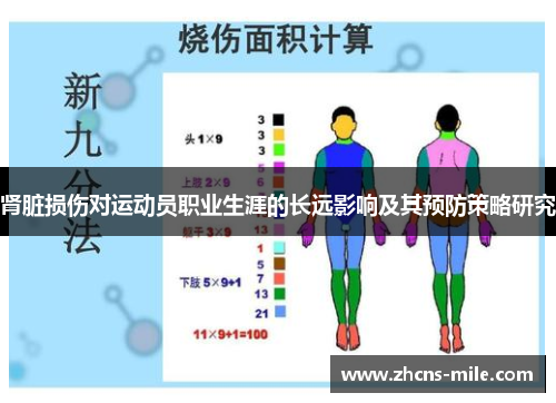 肾脏损伤对运动员职业生涯的长远影响及其预防策略研究