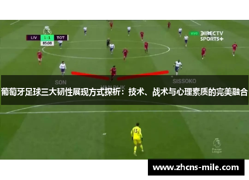 葡萄牙足球三大韧性展现方式探析:技术、战术与心理素质的完美融合 葡萄牙足球三大韧性展现方式探析:技术、战术与心理素质的完美融合