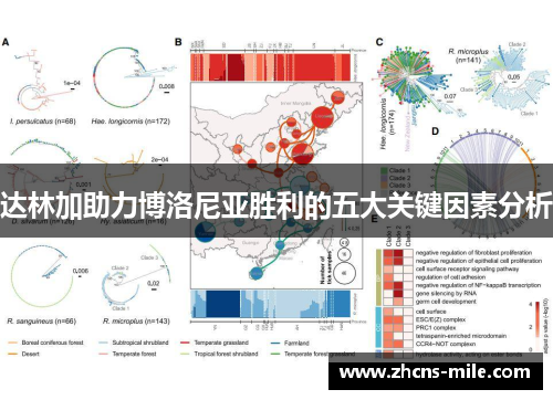 达林加助力博洛尼亚胜利的五大关键因素分析