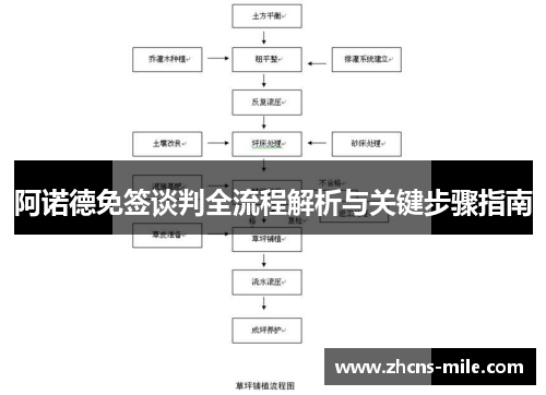 阿诺德免签谈判全流程解析与关键步骤指南